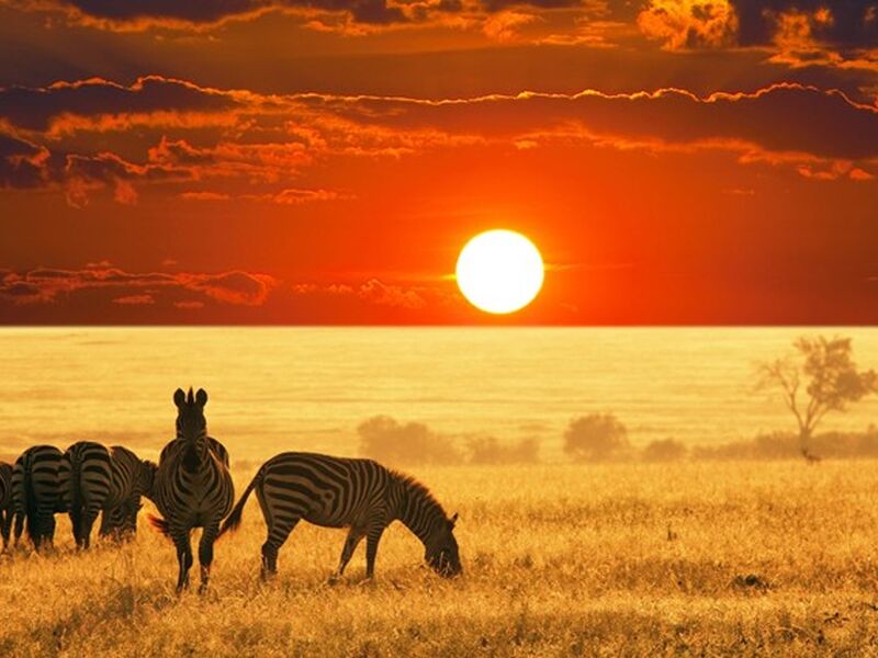 Büyük Afrika 4 Ülke Turu Türk Havayolları İle 11 Gece 12 Gün EJ001 